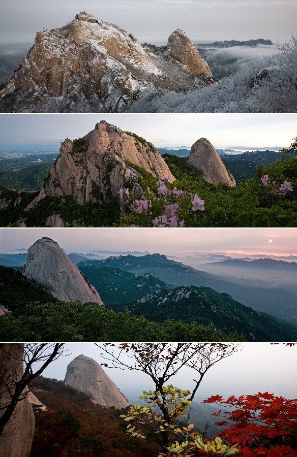 Prize winners – Lee Heeseon – Four Seasons of Insu-bong